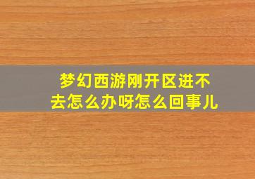 梦幻西游刚开区进不去怎么办呀怎么回事儿