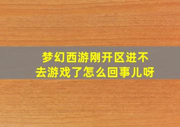 梦幻西游刚开区进不去游戏了怎么回事儿呀