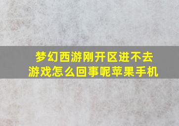 梦幻西游刚开区进不去游戏怎么回事呢苹果手机