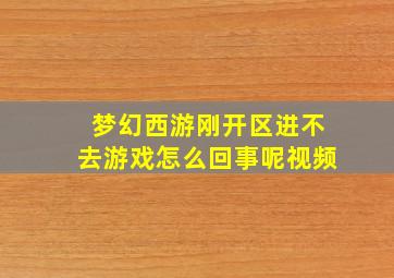 梦幻西游刚开区进不去游戏怎么回事呢视频