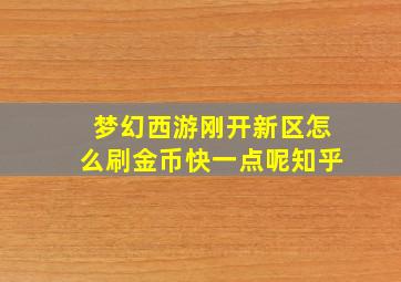 梦幻西游刚开新区怎么刷金币快一点呢知乎