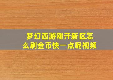 梦幻西游刚开新区怎么刷金币快一点呢视频