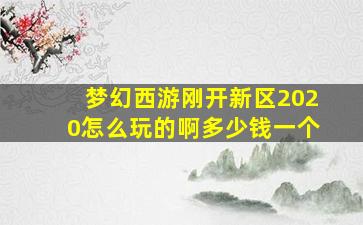 梦幻西游刚开新区2020怎么玩的啊多少钱一个