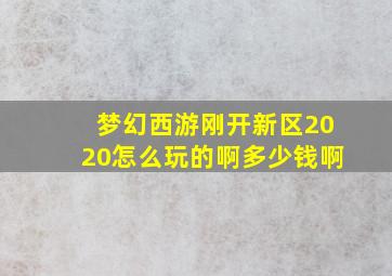 梦幻西游刚开新区2020怎么玩的啊多少钱啊