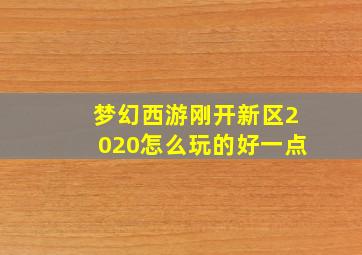 梦幻西游刚开新区2020怎么玩的好一点