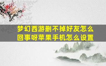 梦幻西游删不掉好友怎么回事呀苹果手机怎么设置