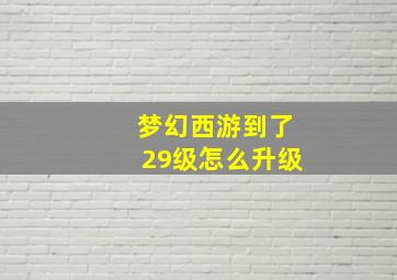 梦幻西游到了29级怎么升级