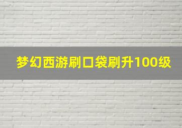 梦幻西游刷口袋刷升100级