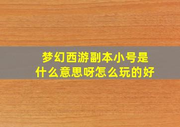 梦幻西游副本小号是什么意思呀怎么玩的好