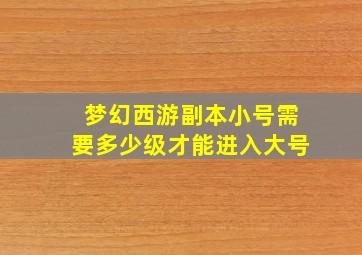 梦幻西游副本小号需要多少级才能进入大号