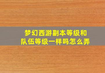 梦幻西游副本等级和队伍等级一样吗怎么弄