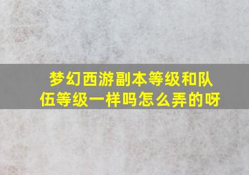 梦幻西游副本等级和队伍等级一样吗怎么弄的呀