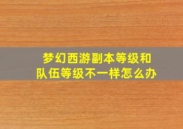 梦幻西游副本等级和队伍等级不一样怎么办