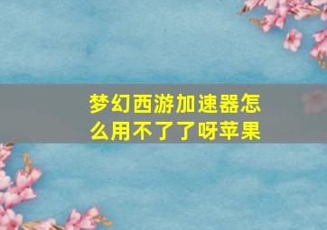 梦幻西游加速器怎么用不了了呀苹果