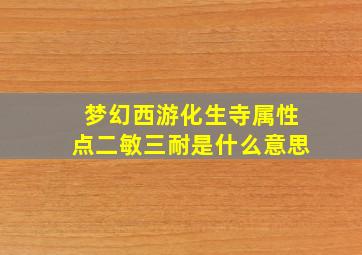 梦幻西游化生寺属性点二敏三耐是什么意思