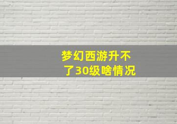 梦幻西游升不了30级啥情况