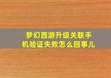 梦幻西游升级关联手机验证失败怎么回事儿