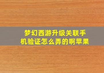 梦幻西游升级关联手机验证怎么弄的啊苹果