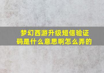 梦幻西游升级短信验证码是什么意思啊怎么弄的