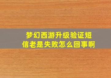 梦幻西游升级验证短信老是失败怎么回事啊