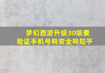 梦幻西游升级30级要验证手机号吗安全吗知乎