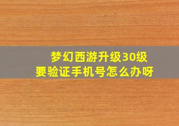 梦幻西游升级30级要验证手机号怎么办呀