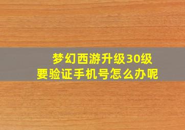 梦幻西游升级30级要验证手机号怎么办呢