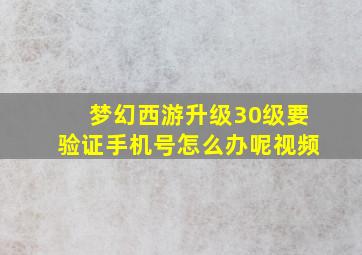 梦幻西游升级30级要验证手机号怎么办呢视频