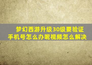 梦幻西游升级30级要验证手机号怎么办呢视频怎么解决