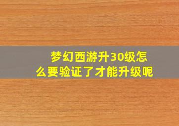 梦幻西游升30级怎么要验证了才能升级呢