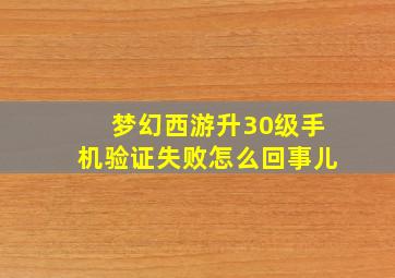 梦幻西游升30级手机验证失败怎么回事儿