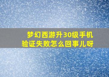 梦幻西游升30级手机验证失败怎么回事儿呀