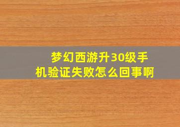 梦幻西游升30级手机验证失败怎么回事啊