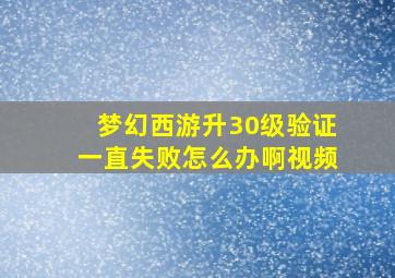 梦幻西游升30级验证一直失败怎么办啊视频