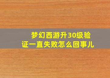 梦幻西游升30级验证一直失败怎么回事儿