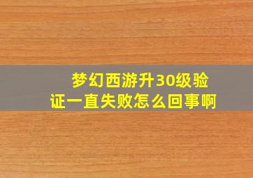 梦幻西游升30级验证一直失败怎么回事啊