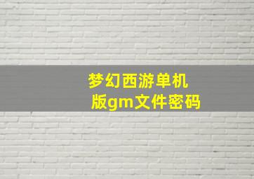 梦幻西游单机版gm文件密码