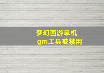 梦幻西游单机gm工具被禁用