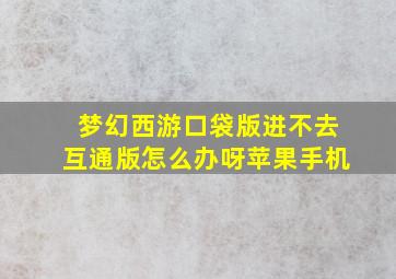 梦幻西游口袋版进不去互通版怎么办呀苹果手机