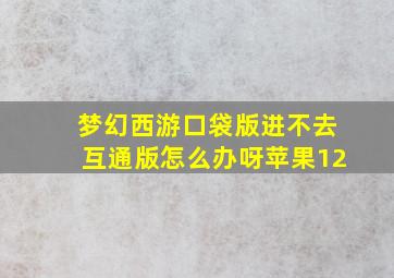 梦幻西游口袋版进不去互通版怎么办呀苹果12