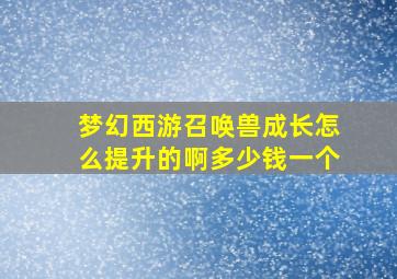 梦幻西游召唤兽成长怎么提升的啊多少钱一个