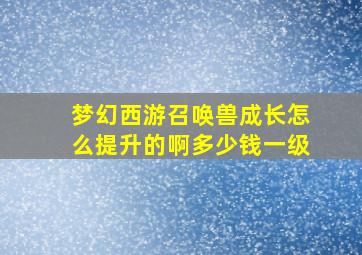 梦幻西游召唤兽成长怎么提升的啊多少钱一级