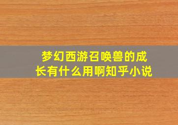 梦幻西游召唤兽的成长有什么用啊知乎小说