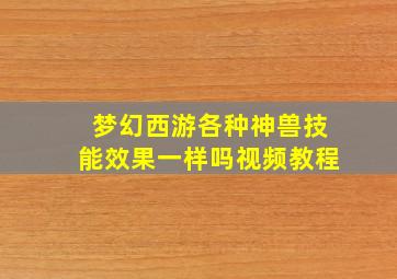 梦幻西游各种神兽技能效果一样吗视频教程