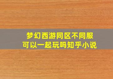 梦幻西游同区不同服可以一起玩吗知乎小说