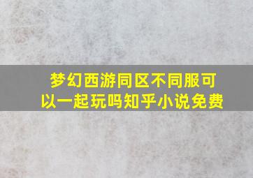 梦幻西游同区不同服可以一起玩吗知乎小说免费