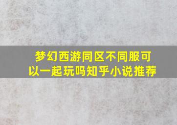 梦幻西游同区不同服可以一起玩吗知乎小说推荐