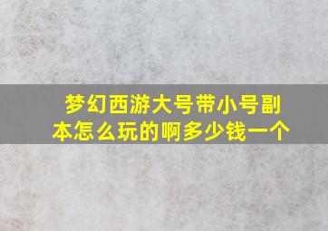 梦幻西游大号带小号副本怎么玩的啊多少钱一个