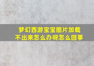 梦幻西游宝宝图片加载不出来怎么办呀怎么回事