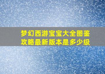 梦幻西游宝宝大全图鉴攻略最新版本是多少级